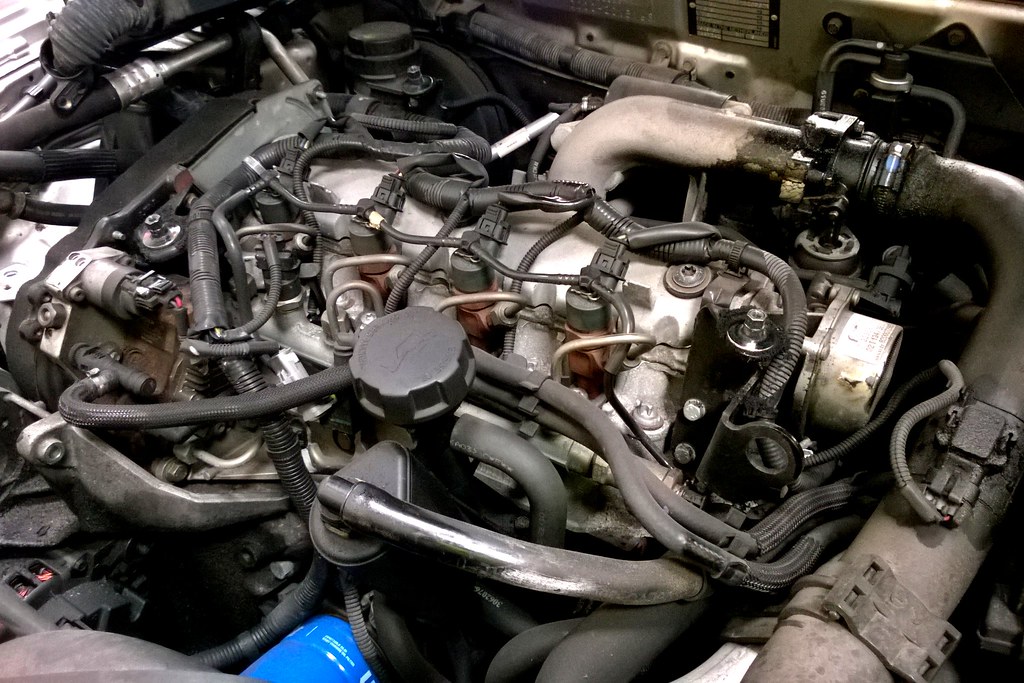 Compartiment moteur ouvert avec durites et réservoirs