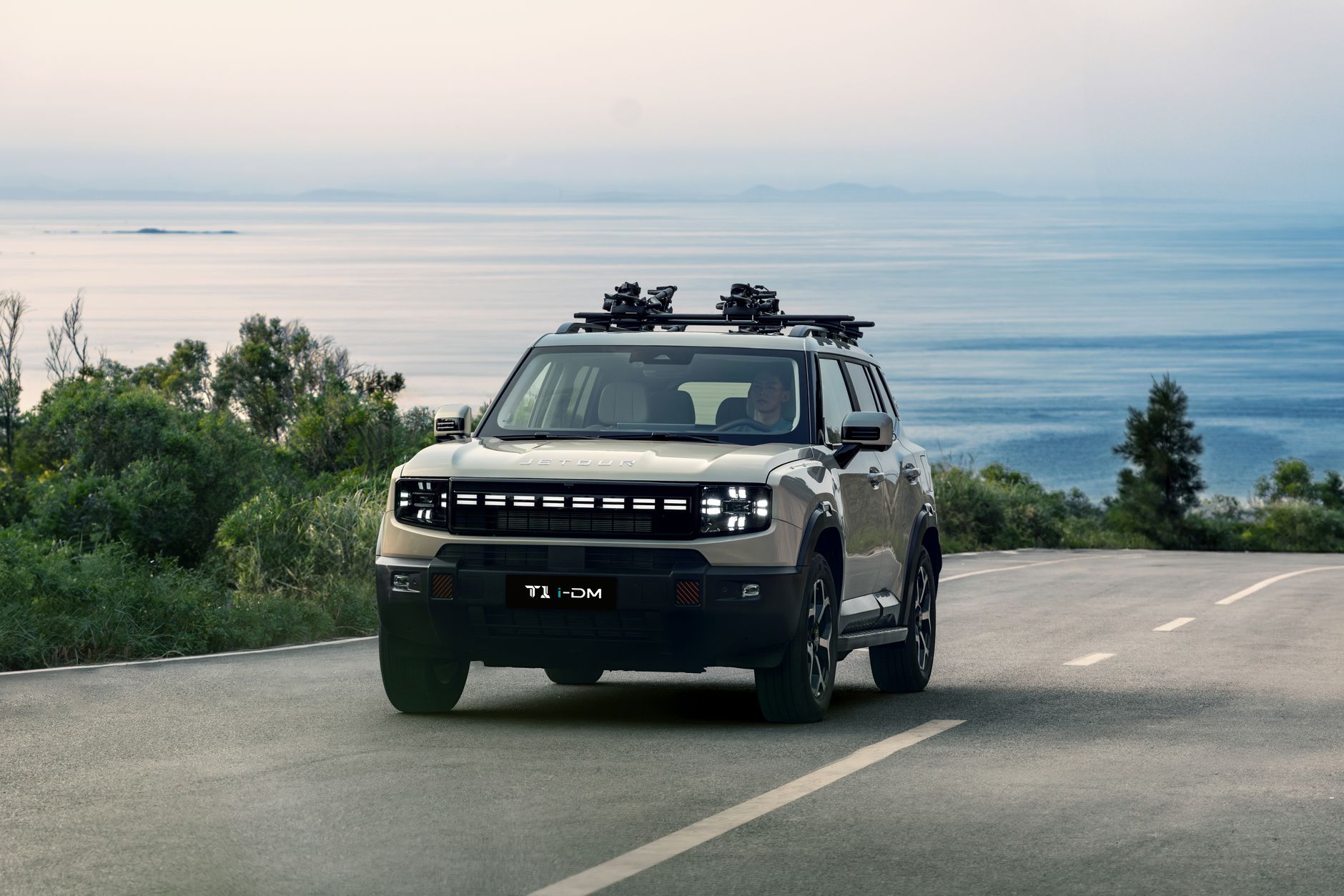 La BYD Dolphin G DM-i : Une Solution de Mobilité Durable pour les Petites Entreprises