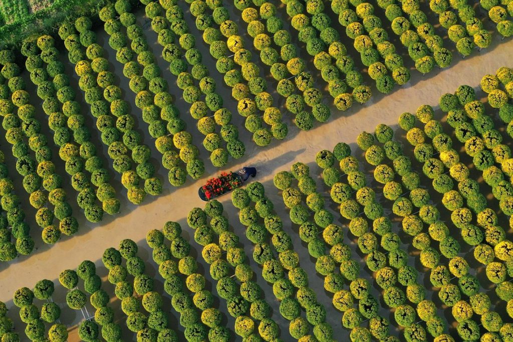 Entretenir sa voiture sans trop dépenser