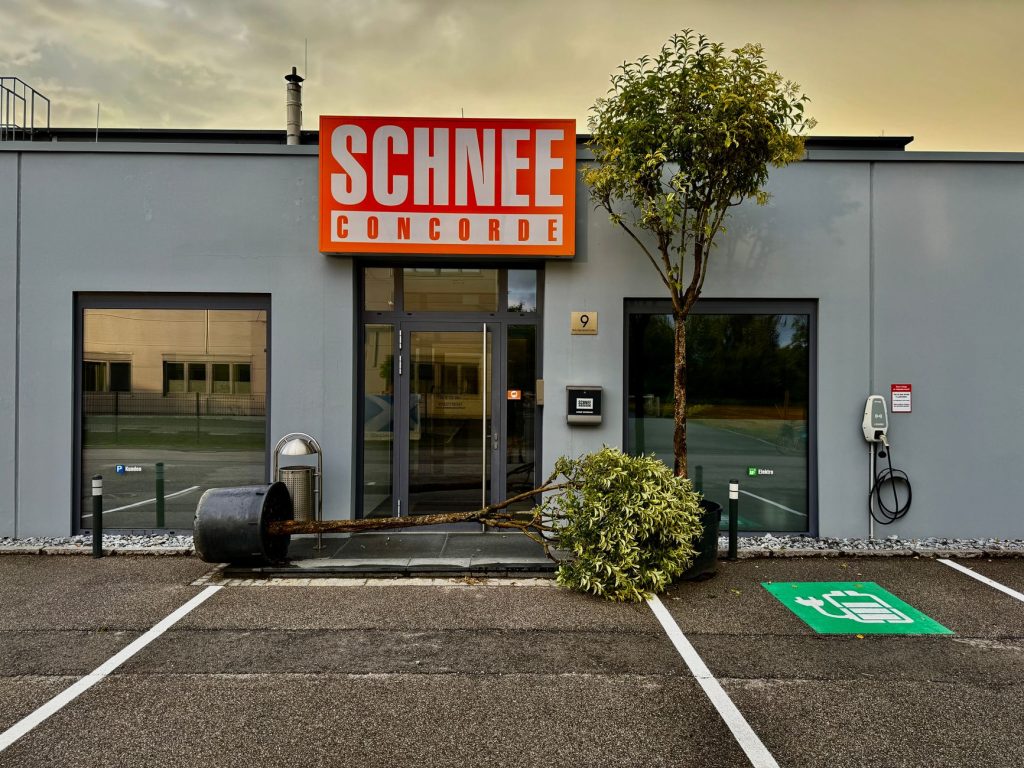 Adapter une flotte à l'électrification : guide pratique